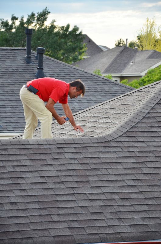 Roofing Inspection in Action